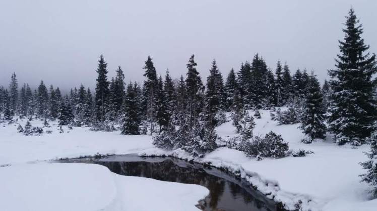 20171230_120147_resized