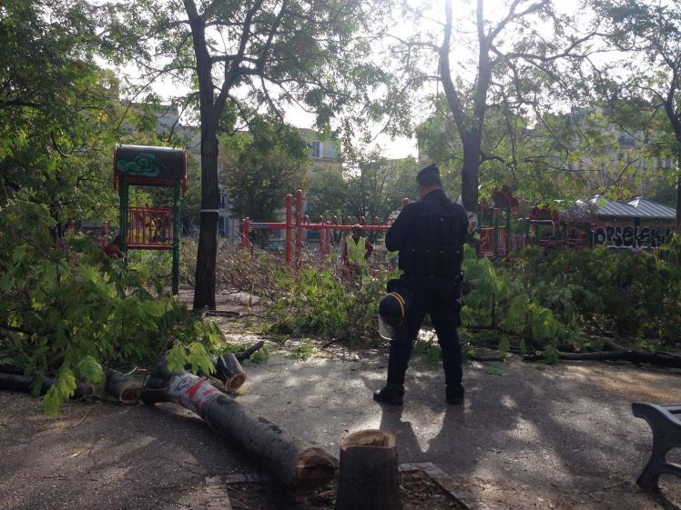 47689060_2291258401155776_257552283749842944_n